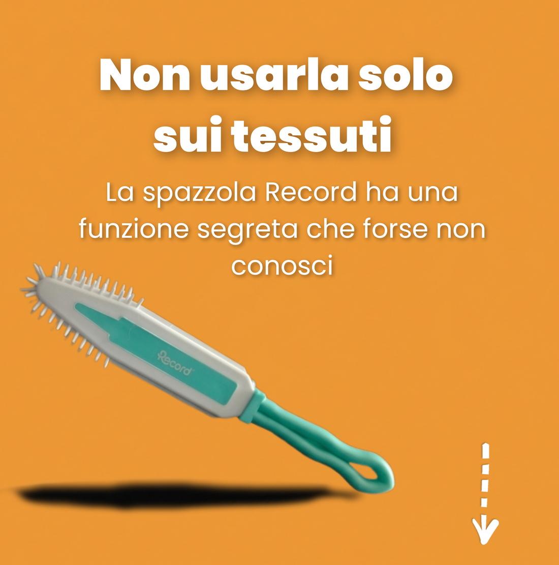 Spazzola Record per la pulizia dei peli del cane e del gatto e non solo (Scopri di più)