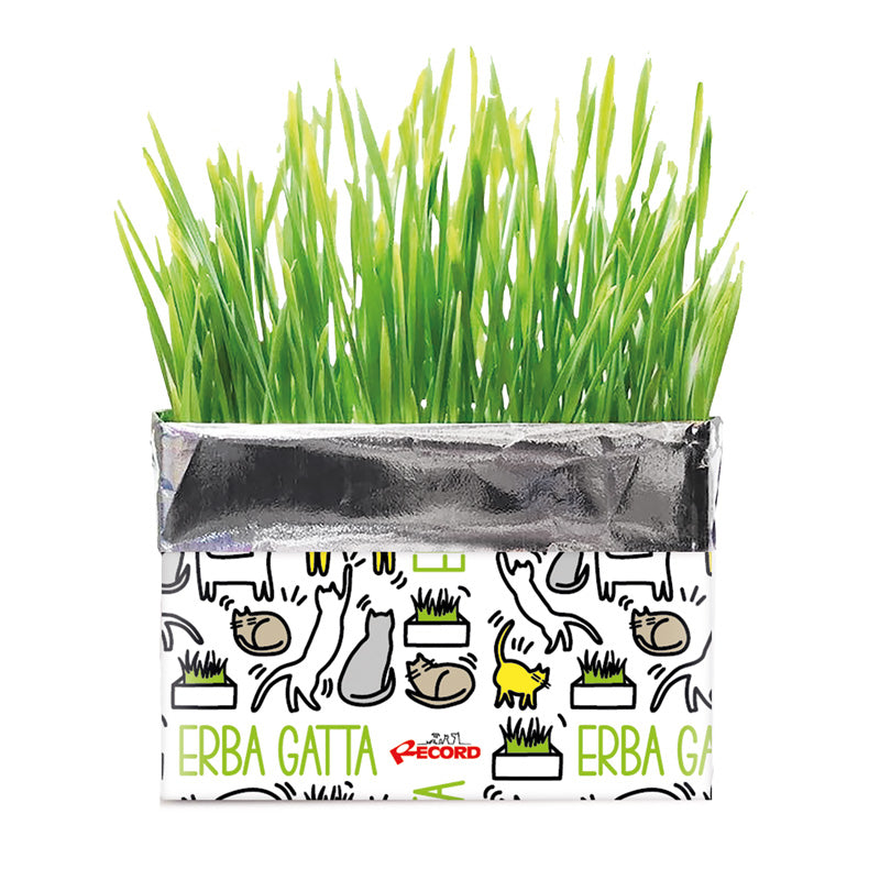 kit per Erba gatta in busta, Naturale al 100% per Gatti, 120g