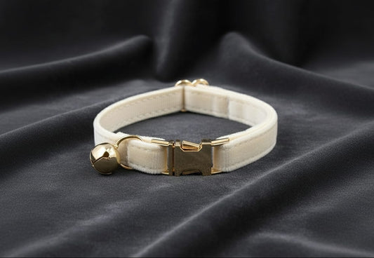 Collare elegante in velluto e fibbia in lega di zinco color oro