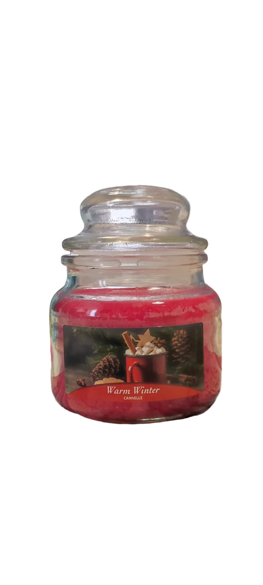 Candela profumata - elimina odori - rilascia una gradevole fragranza 100g