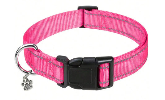 Collare rinfrangente cani e gatti