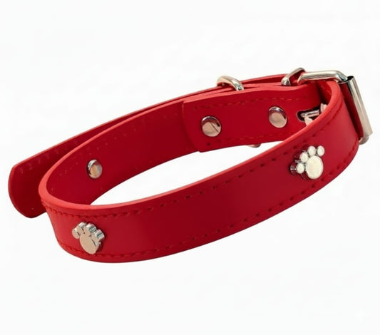 Collare per gatti e cani di piccola taglia con borchie zampetta
