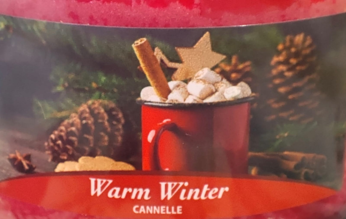 Candela profumata - elimina odori - rilascia una gradevole fragranza 100g