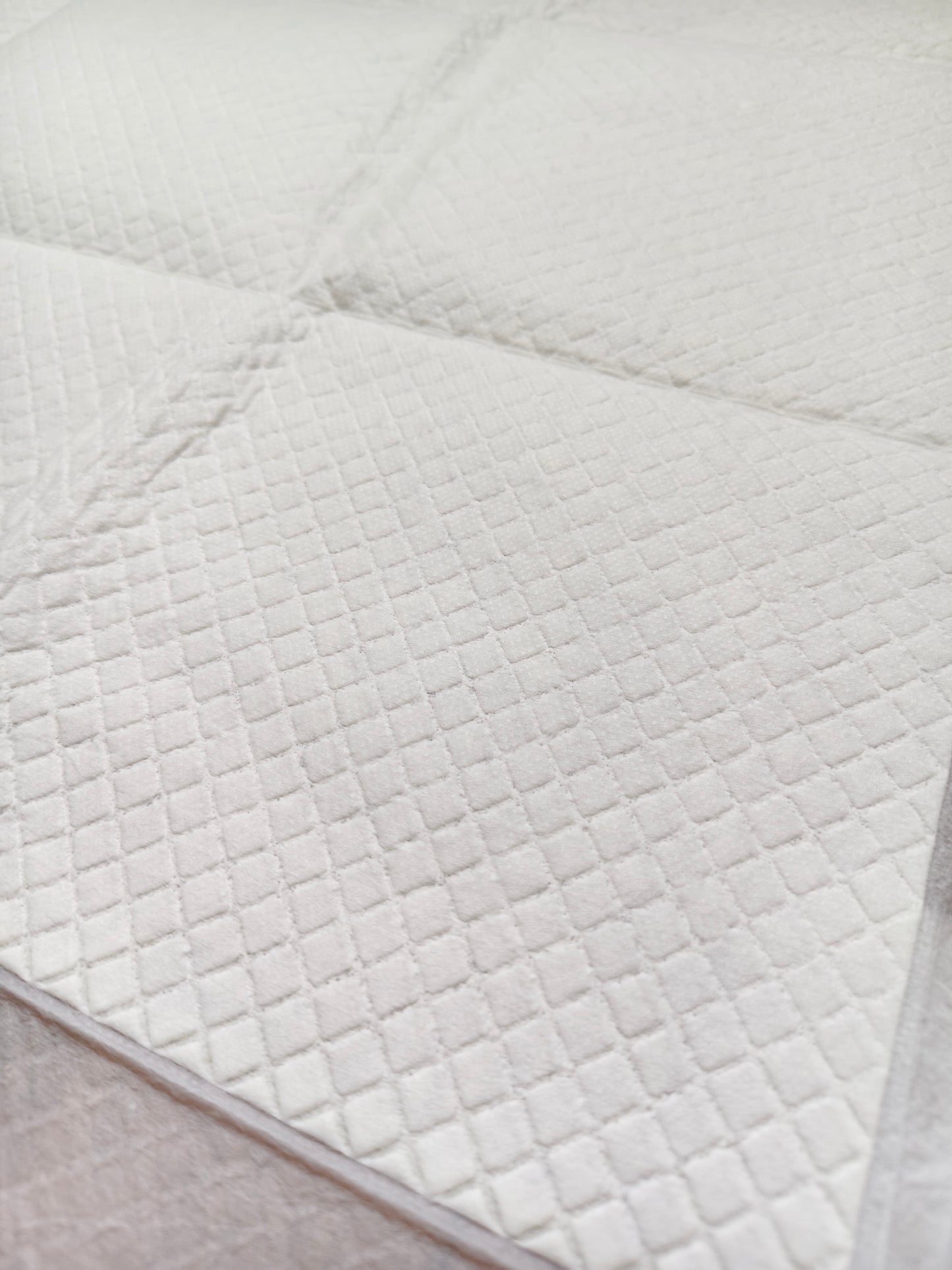 Tappetini extra assorbenti 60x60, Record Assorbipiù, 11 o 40pz