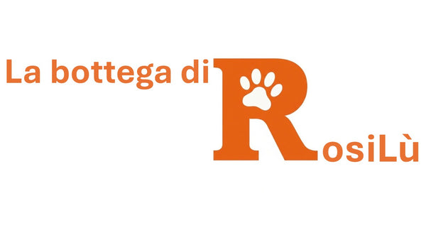 La bottega di RosiLù 