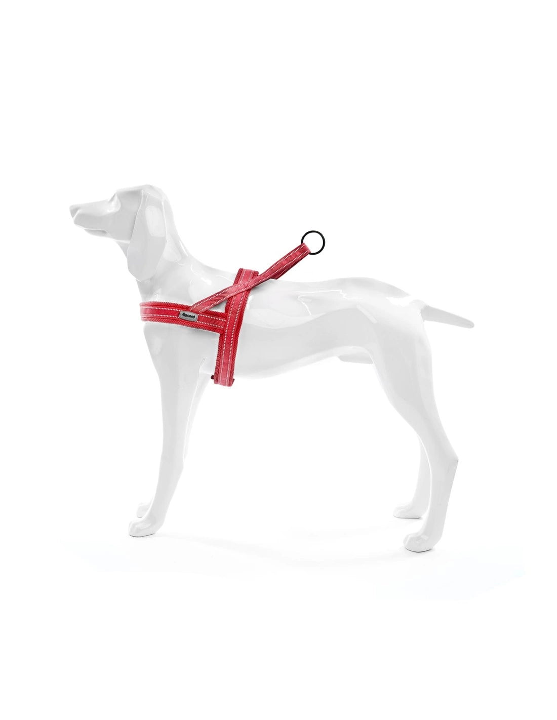 Pettorina premium per cani, Action Dolomiti, Rossa, M (ø62-72cm), Record