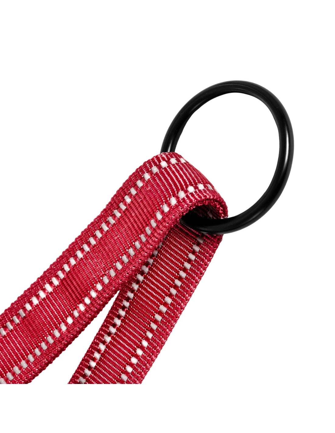 Pettorina premium per cani, Action Dolomiti, Rossa, M (ø62-72cm), Record