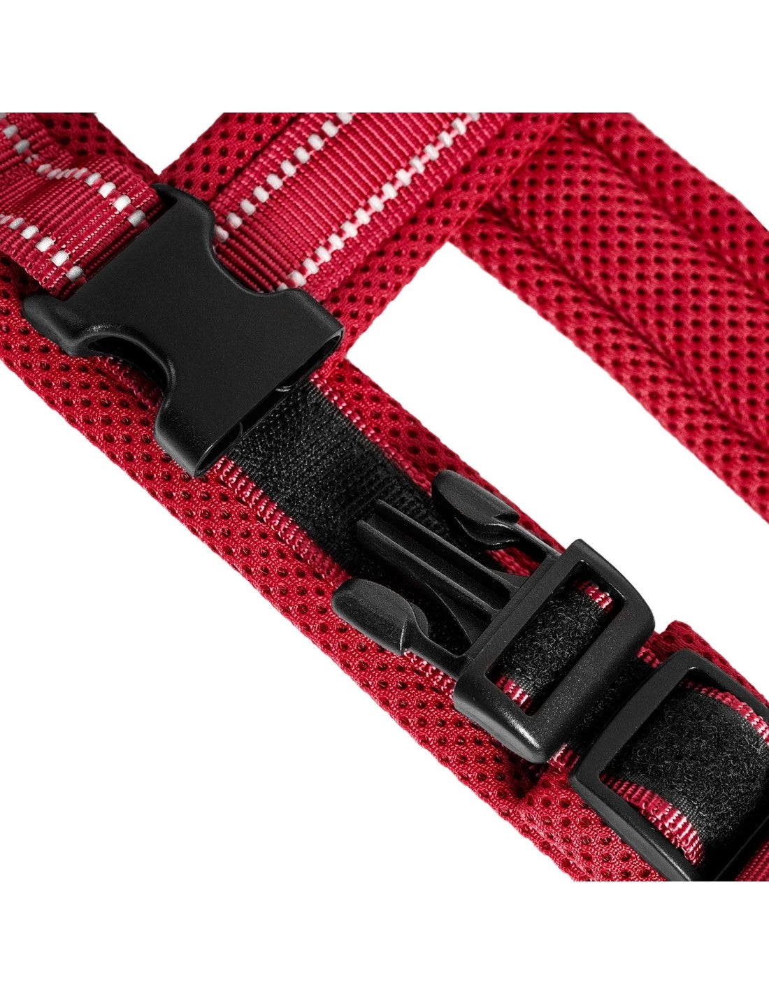 Pettorina premium per cani, Action Dolomiti, Rossa, M (ø62-72cm), Record